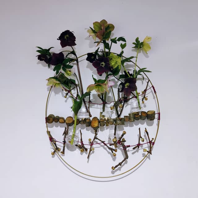 Helleborus en rijgen
