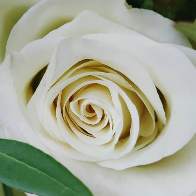 Tafeldecoratie Vouwen en Rijgen